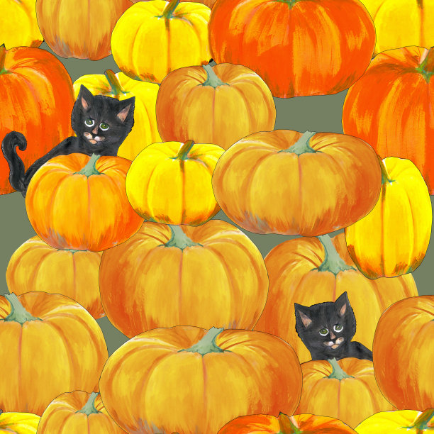 有南瓜图案的黑猫图片下载