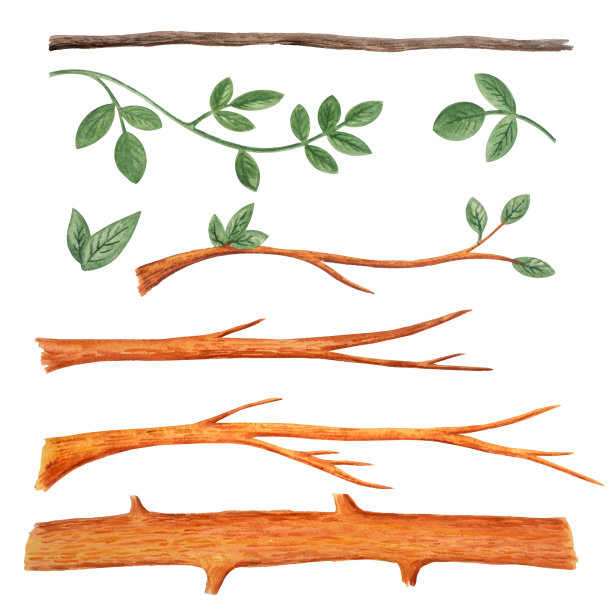 一组树干的树枝。色水彩插图。图片下载