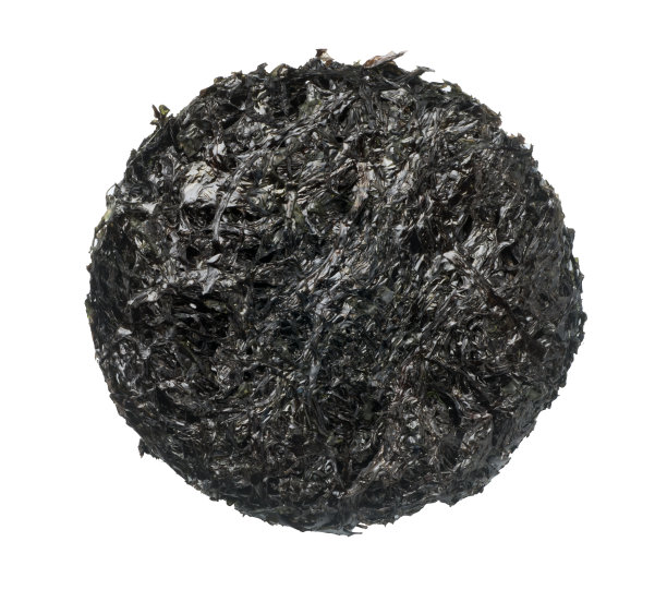 中国干紫菜图片下载