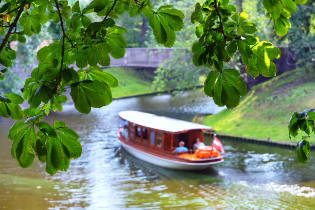 城市公园里的栗叶图片下载