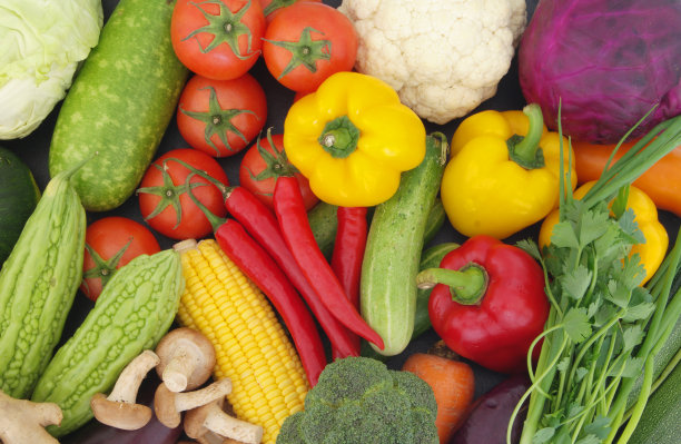 以许多新鲜蔬菜为背景图片下载