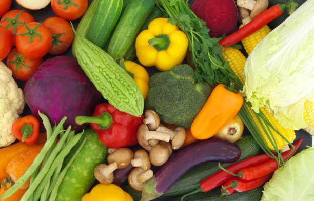以许多新鲜蔬菜为背景图片下载