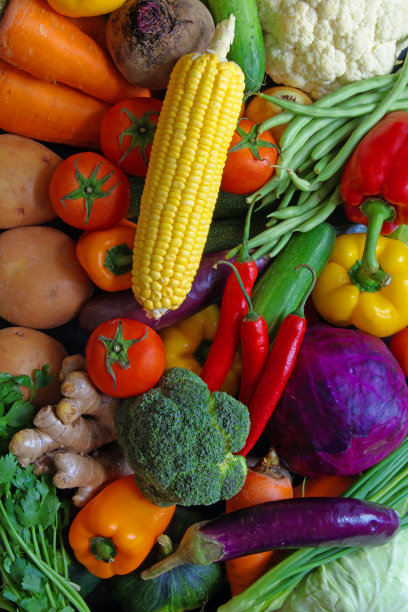 以许多新鲜蔬菜为背景图片下载