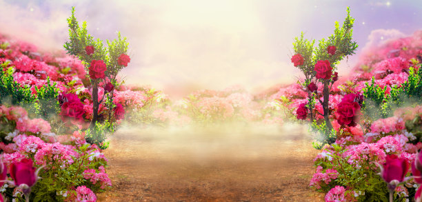 梦幻夏天的照片背景与玫瑰田，树木和迷蒙的小路通向神秘的林间空地。田园诗般的宁静的早晨景色。路穿过小山通向童话。图片下载