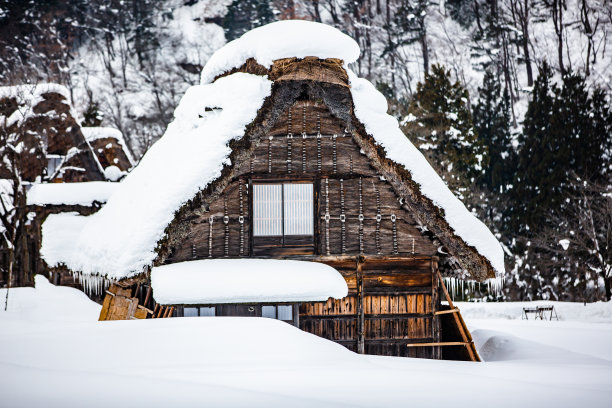 美丽的老房子与雪在大自然的冬天图片下载