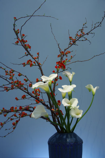 日本花道图片下载