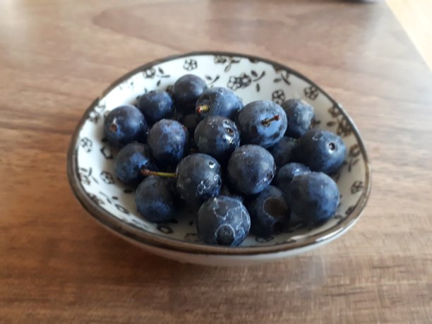 蓝莓的特写图片下载
