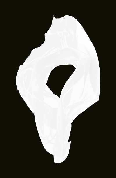 白色婚礼面纱图片下载