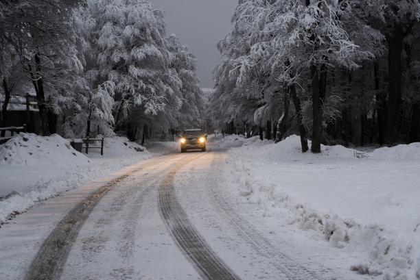 雪路，车灯和树图片下载