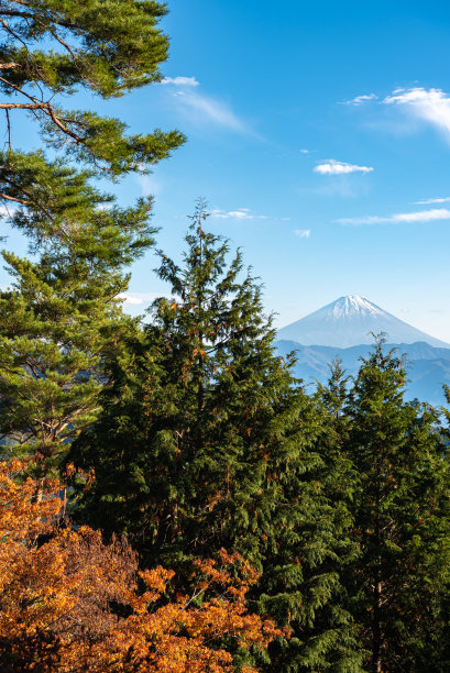 富士山，世界遗产。美丽的风景看图片下载