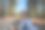 一名年轻人在空旷的高速公路上自拍，靠近黑熊野生动物标志图片下载