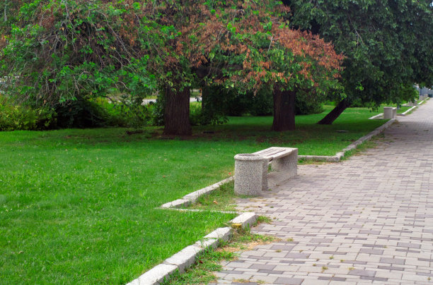 坐在树下。图片下载