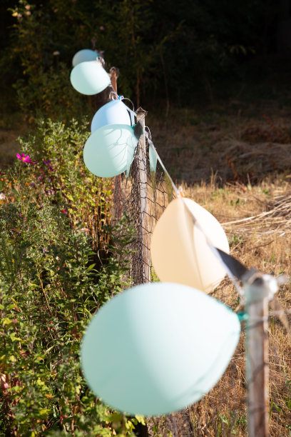 婚礼装饰图片下载