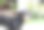一只狗在后院享受阳光明媚的午后。图片下载