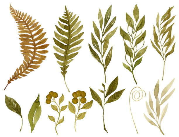 水彩秋叶收藏图片下载