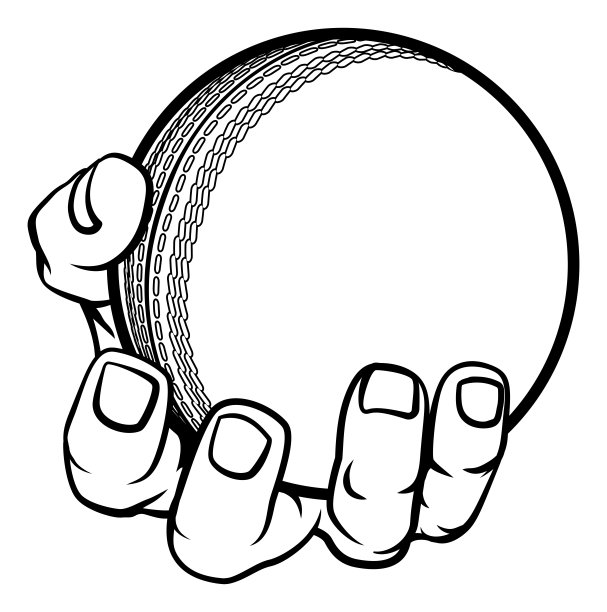 手持式板球图片下载