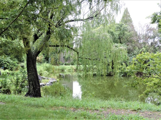 九月晴朗的一天，日本埼玉县公园。图片下载