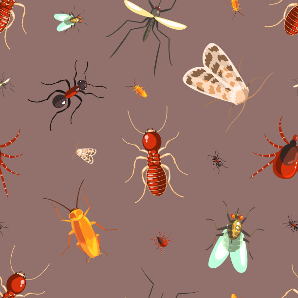 昆虫无缝模式与飞蛾，蚂蚁，蟑螂，苍蝇矢量插图图片下载