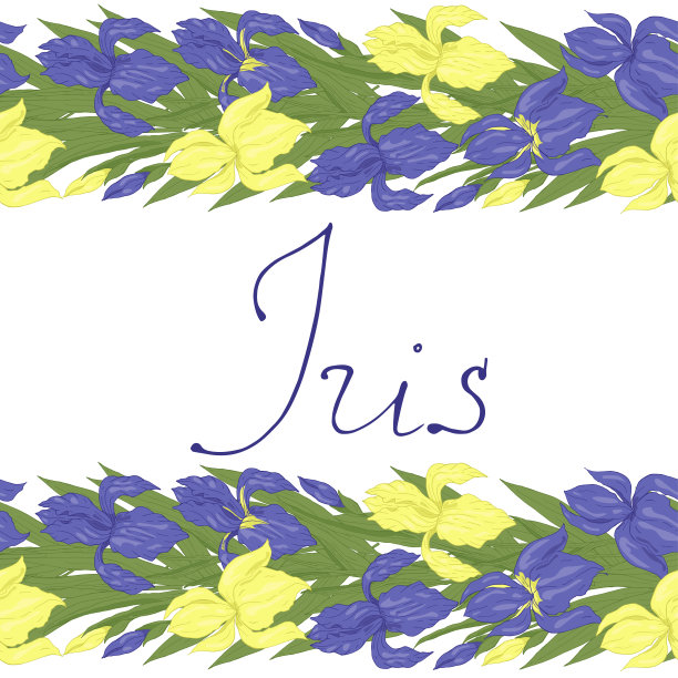 无缝的边界，无尽的笔刷手绘花蝴蝶花黄色和蓝色与叶子和字母矢量插图图片下载