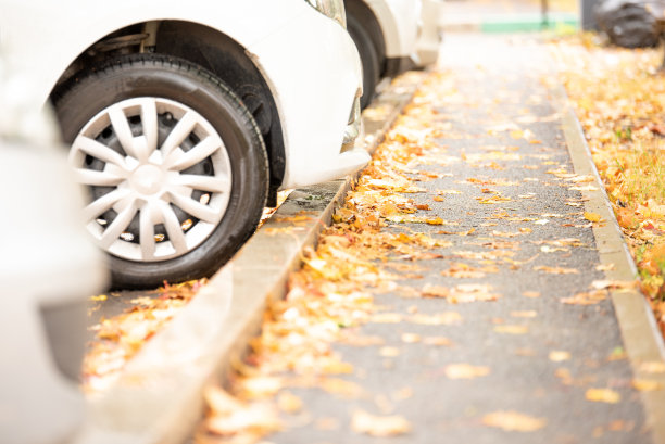沥青和汽车里的黄叶图片下载