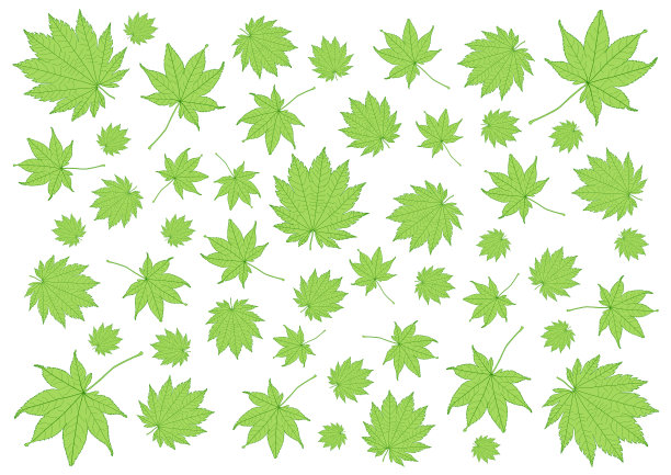 叶子绿色图案上的白色背景插图图片下载