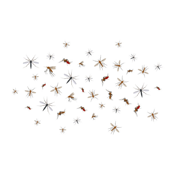 卡通颜色不同的蚊子群图标集。向量图片下载