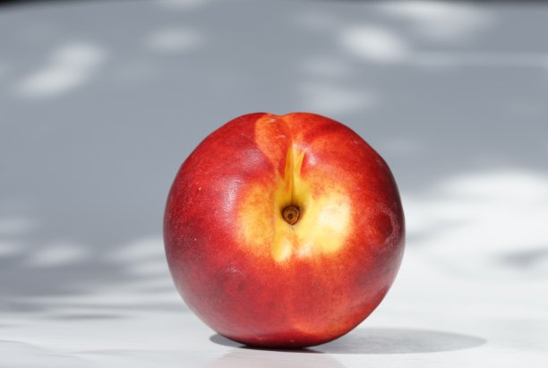 阳光下的鲜红油桃图片下载