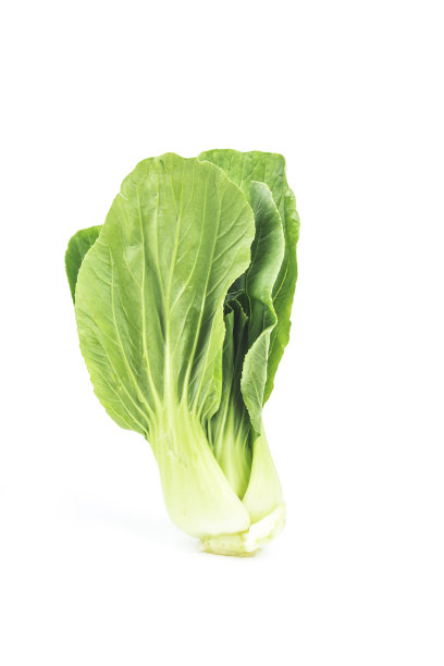 薄菜在白色的背景图片下载