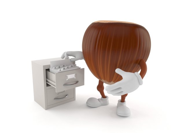 带有存档的榛子风味图片下载