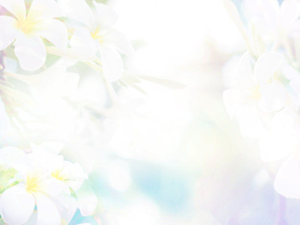 花卉抽象粉彩背景图片下载