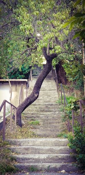 梦被打断图片下载