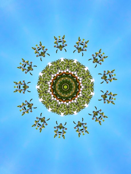 非常美丽的马赛克。天空和绿叶。图片下载