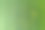 绿色的草地图片下载