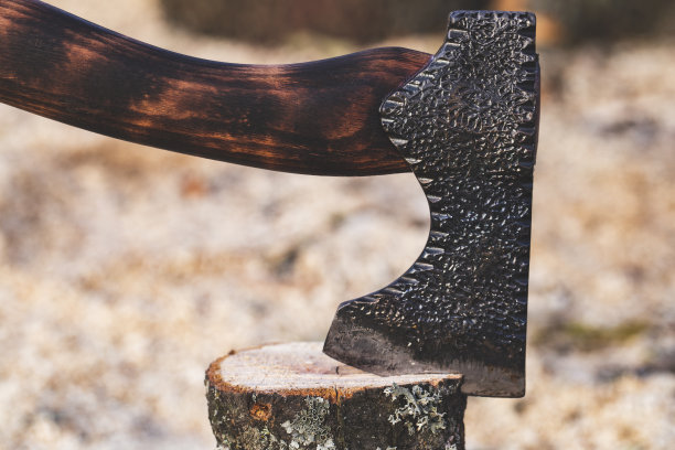 斧头插在一大块木柴上图片下载