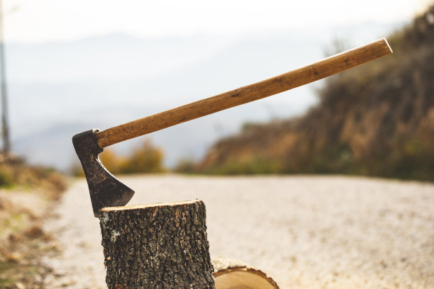 斧头插在一大块木柴上图片下载