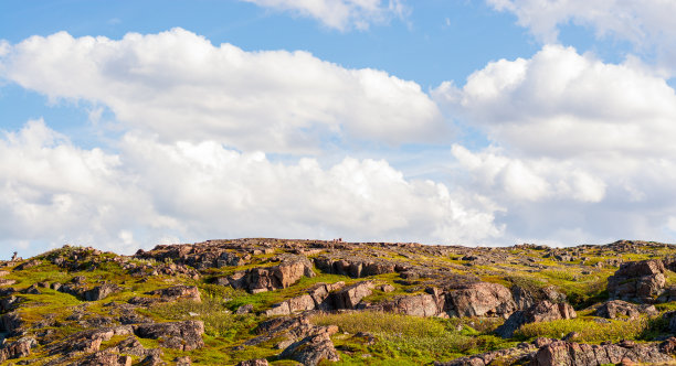 在草丛中切碎巨大的石头图片下载