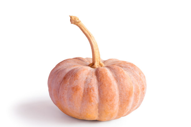 南瓜孤立在白色背景。图片下载