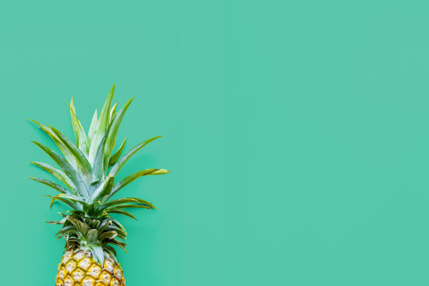 菠萝在绿色固体滴图片下载