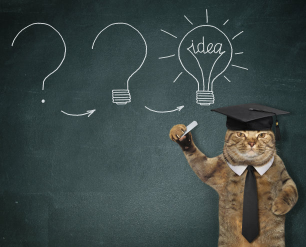 猫有主意画灯泡图片下载