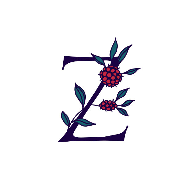 花和植物中的拉丁字母Z。字母在装饰元素中的铭文。公司的标志。海报或字母组合。图片下载