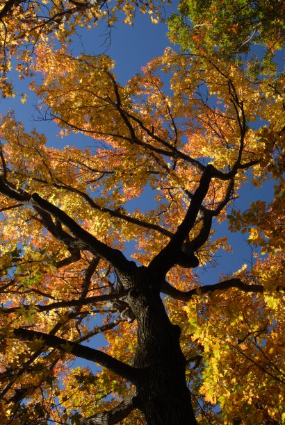 秋天的颜色图片下载