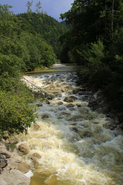 2019年夏季，Reit im Winkl附近的Lofer河水位低图片下载