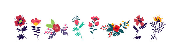 美丽的花朵。用于装饰花店的花卉元素。所有的植物都被隔离在白色的背景上。植物和花卉栽培技术。模式结构。图片下载