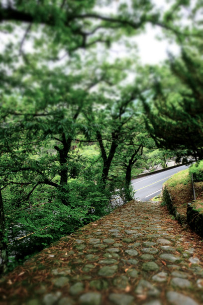 韩国公园小径图片下载