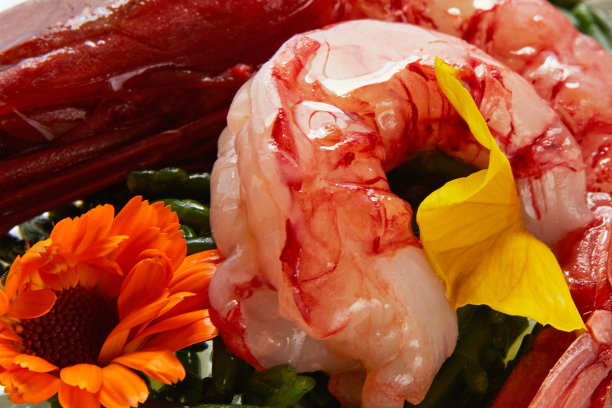 生虾，鳕鱼，洋蓟图片下载