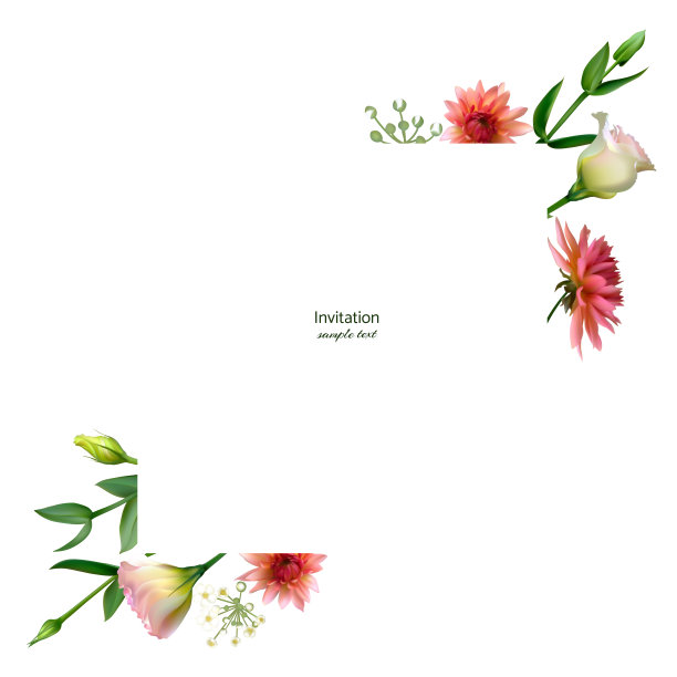 花。花的背景。Eustoma。粉红色的。绿色的树叶。大丽花。白色红色的。图片下载