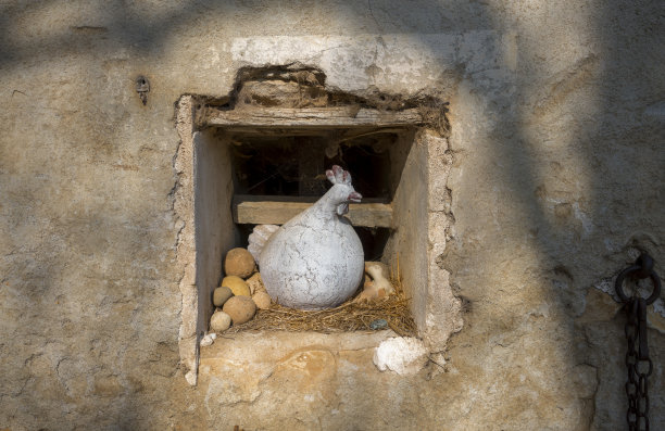 泥鸡和鸡蛋图片下载