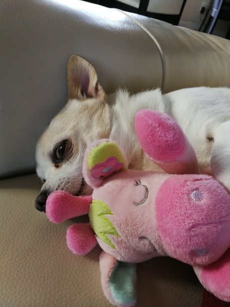 只想和我的宝贝上床图片下载