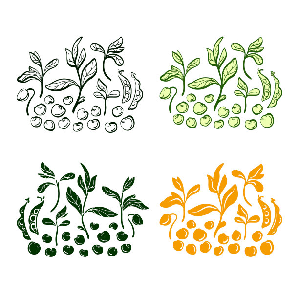 黄豆。向量集。天然蛋白质食物图片下载