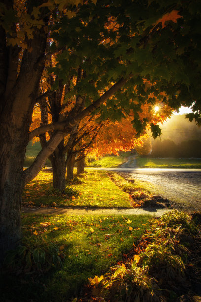 秋天在佛蒙特州图片下载